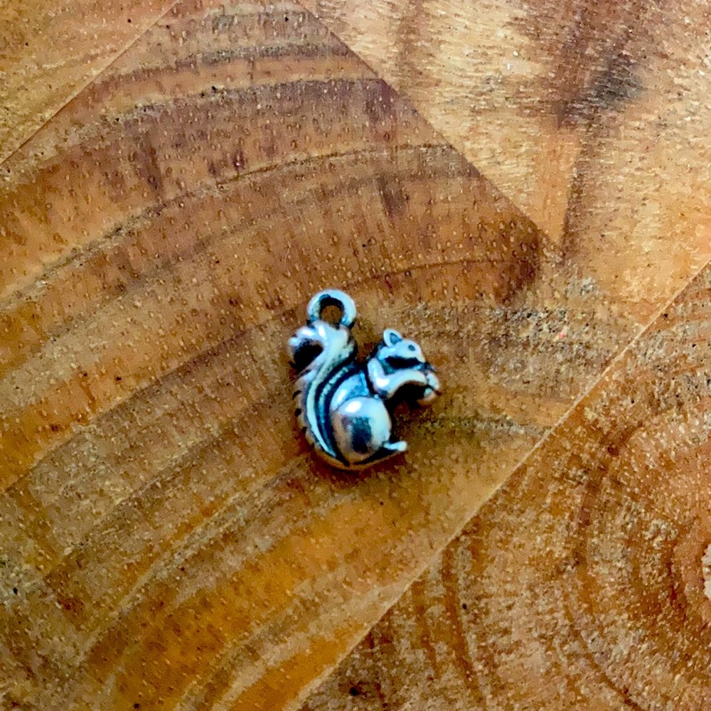 *Retired* James Avery Squirrel charm